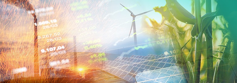 Online Launch of Brown to Green Report 2017