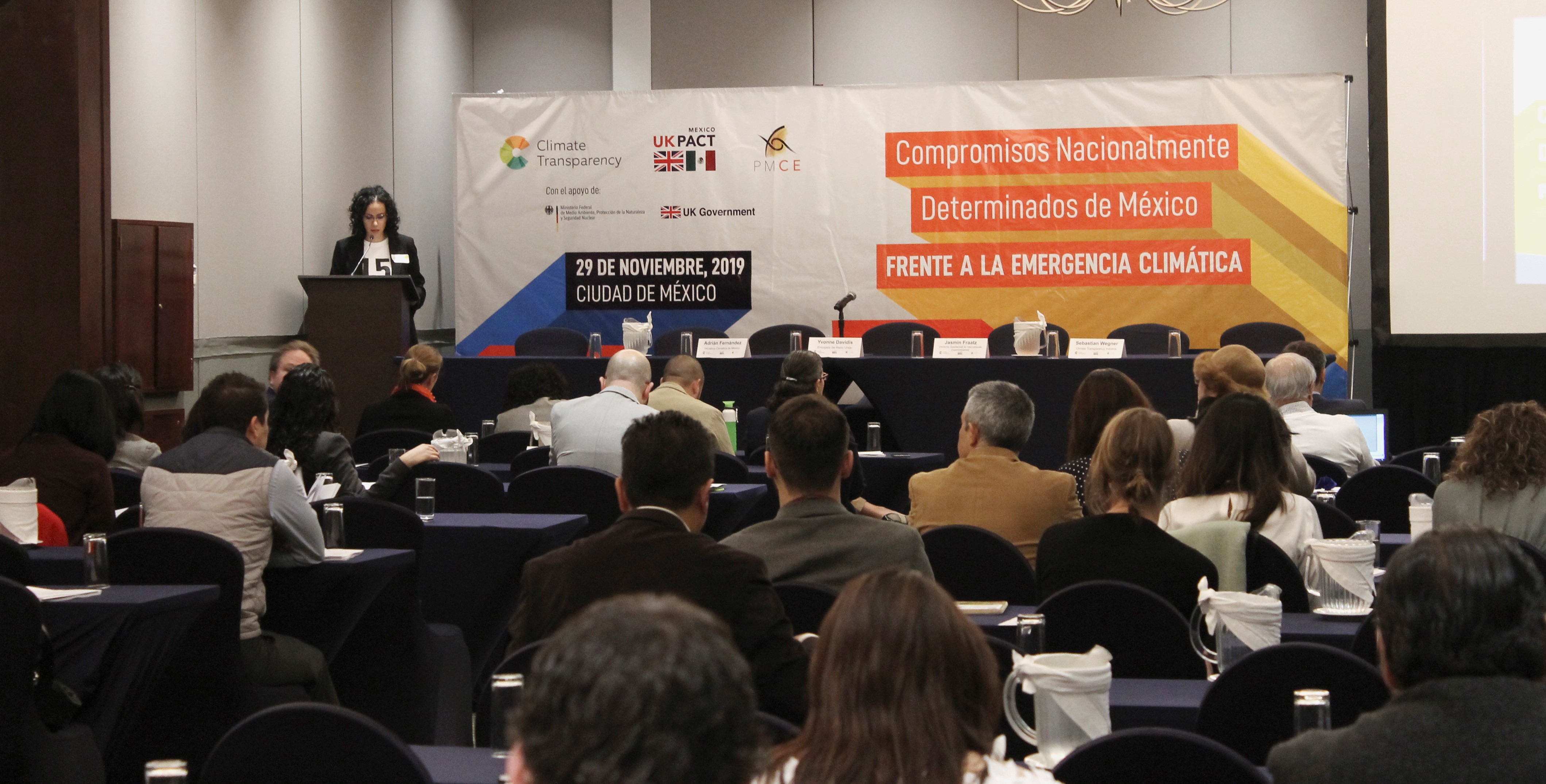 Event: Launch of the Brown to Green Report 2019 in Mexico