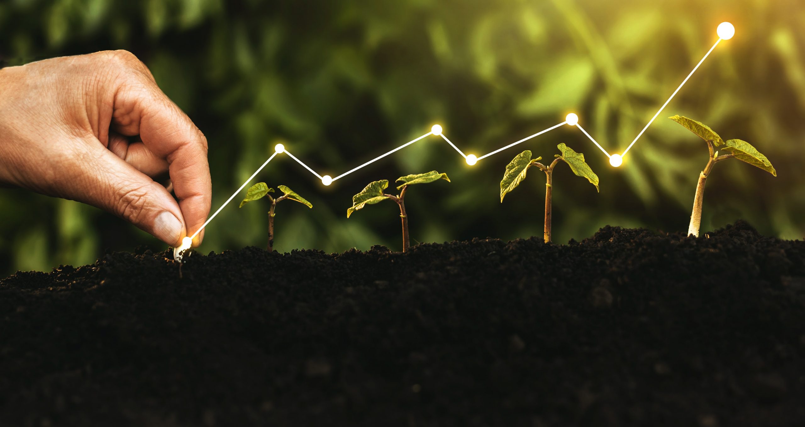 Event: The role of central banks in tackling climate change