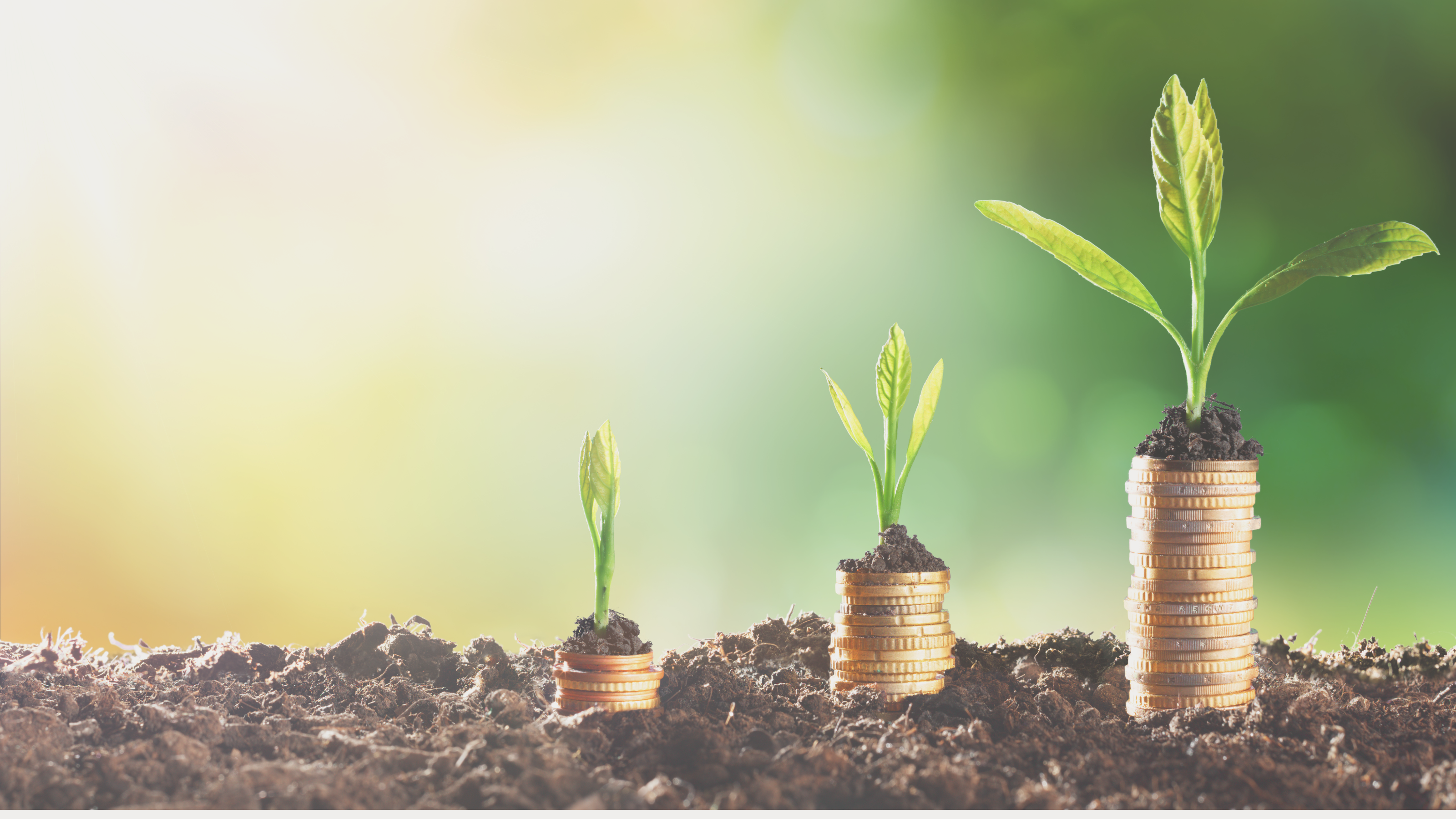 EVENT: Driving Climate Implementation and Financing the Energy Transition in the G20